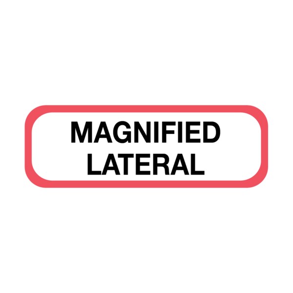 Position Labels - Magnified Lateral 1/2" x 1-1/2" White w/Red & Black